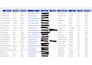 provide accurate data entry, excel formatting, web research